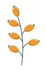 Wild berries. Winter plant. Winter branches and leaves. Winter floral elements. Holiday decoration. Vector illustration