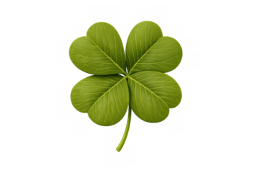 Four-leaf clover on transparent background symbolizing luck, fortune, nature, and st. Patrick's day celebration