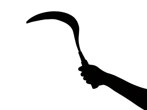 Silhouette of a hand holding a sharp traditional sickle or celurit in a striking position isolated white background, representing a violent crime, robbery, physical threat,killer, criminal intent