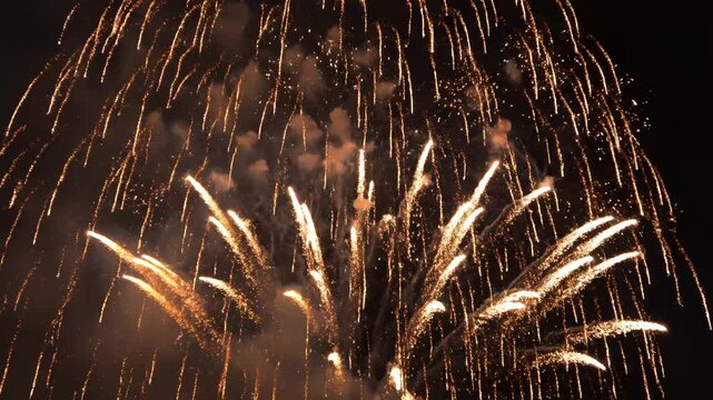 Fireworks Display in Night Sky