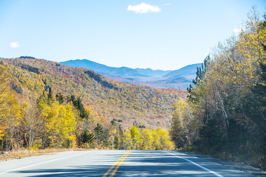 road in autumn forest