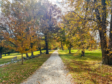 path in autumn park