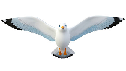 White Seagull in Flight