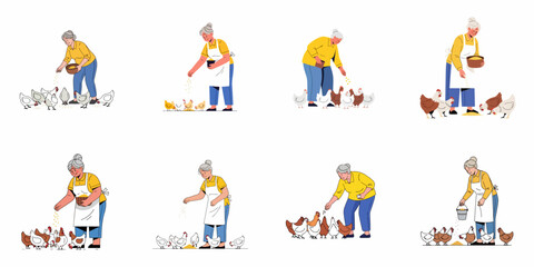 Elderly Woman Feeding Chickens: A Collection of Vignettes Illustrating Rural Life, Poultry Farming, and Animal Care. © Muqodimatul