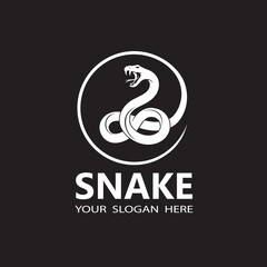 Fototapeta premium illustration of white snake isolated on black background