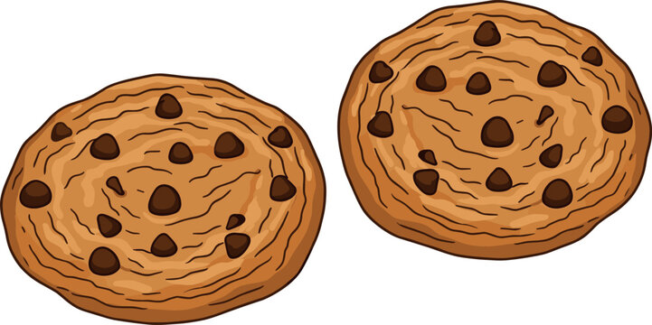  Vector illustration of two delicious round chocolate chip cookies isolated on white background for bakery and snack design.