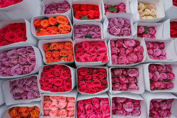 Bogota, Colombia - December 31, 2025: Bouquets of roses at the Paloquemao market in Bogota, Colombia.