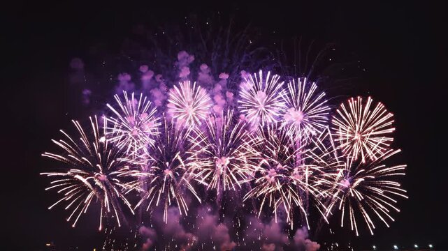 Colorful fireworks exploding in night sky