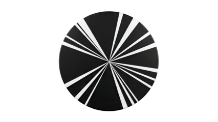 Black and white radial design on an oval object