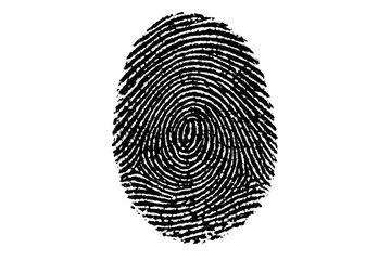 Fingerprint scan displaying unique biometric identity for security, authentication, and forensic analysis, transparent background