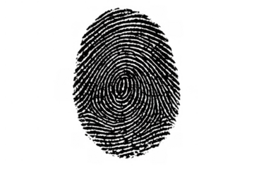 Fingerprint scan displaying unique biometric identity for security, authentication, and forensic analysis, transparent background