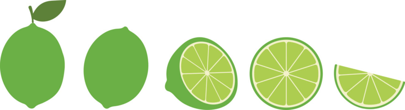Set of vector illustrations of fresh green lemon or lime whole, half, sliced ​​and in wedges