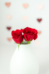 Fototapeta premium Red roses in vase on white background, close-up view