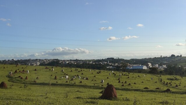 Um fim de tarde em uma fazenda de Boituva, interior do Estado de S&atilde;o Paulo, Brasil.