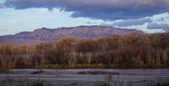 Sandia Mountains at sunset as seen from the bosque along the Rio Grande River in Albuquerque, New Mexico