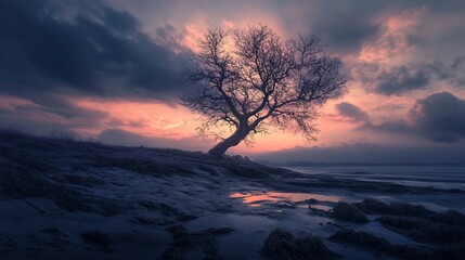 Solitary Tree Silhouetted Against a Dramatic Sunset Sky and Winter Landscape