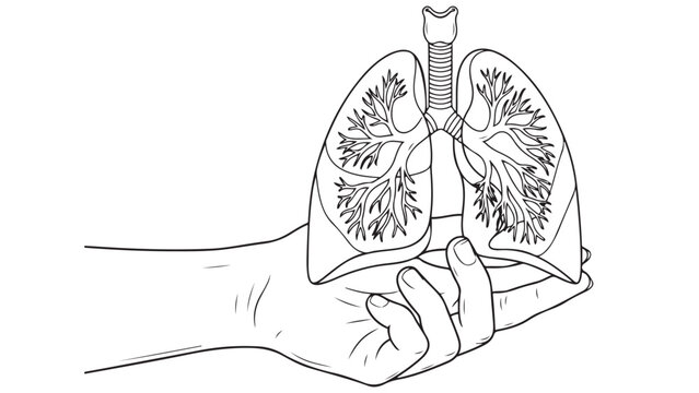Hand holding lungs illustration representing respiratory anatomy pulmonary function and clinical diagnostic research vector illustration