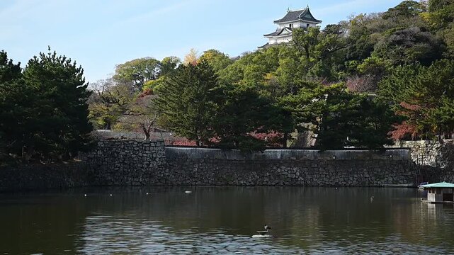 秋の和歌山城 （和歌山県和歌山市, 2025年12月）