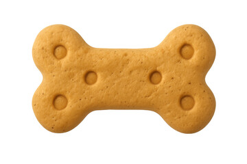 Bone shaped dog biscuit treat for pets