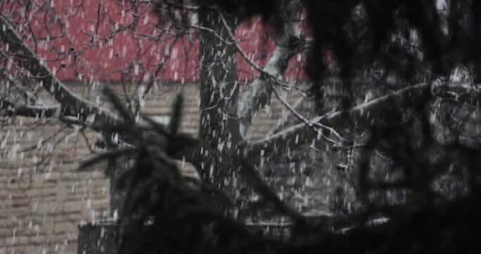 Falling snow in winter, trees and street