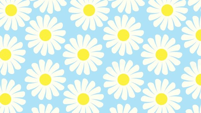 4K video fullscreen collection pattern of floral daisy Chamomile flower grid looping and rotate motion graphic on blue background, seamless background with flowers, repeated geometric motif video anim