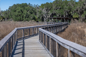 Fototapeta premium la chua trail, paynes prairie, gainesville, florida