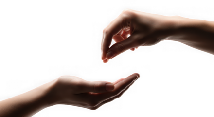 Hands giving small seed or grain to open palm on transparent background, concept of generosity or sharing