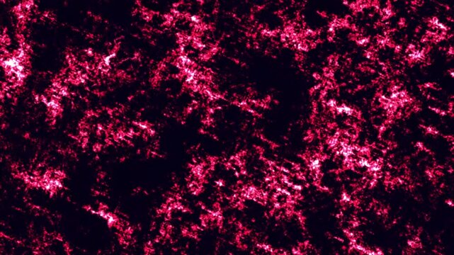 A vibrant video showcasing a mesmerizing pink and black abstract pattern Abstrack background