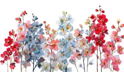 Colorful watercolor depiction of delicate, vibrant larkspur flowers against a black background