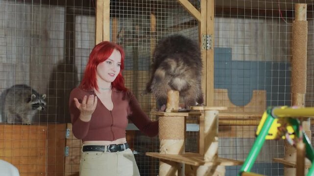 Redhead woman inside wire enclosure reacts as bear climbs onto feeding platform, reaching over head rustic indoor sanctuary with wooden perches, mesh cage, raccoon visible in background tense