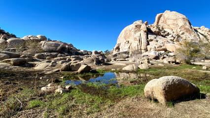 Joshua Tree National Park Barker Dam Desert Oasis in California
