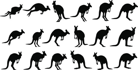 Black kangaroo silhouette vector collection featuring various poses like jumping hopping standing and grazing isolated on white background for wildlife nature and Australian outback design projects