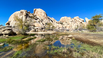 Joshua Tree National Park Barker Dam Desert Oasis in California