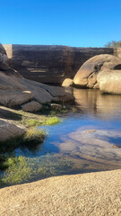 Joshua Tree National Park Barker Dam Desert Oasis in California