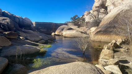 Joshua Tree National Park Barker Dam Desert Oasis in California