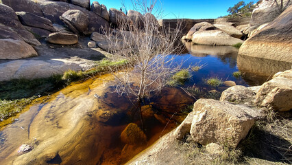 Joshua Tree National Park Barker Dam Desert Oasis in California