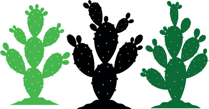 Prickly Pear Cactus Set Silhouette and Color Illustration