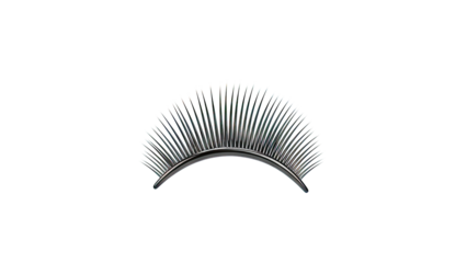 Single Strip of Black False Eyelashes