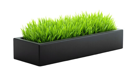 A rectangular, black planter filled with vibrant green grass against a pitch-black background