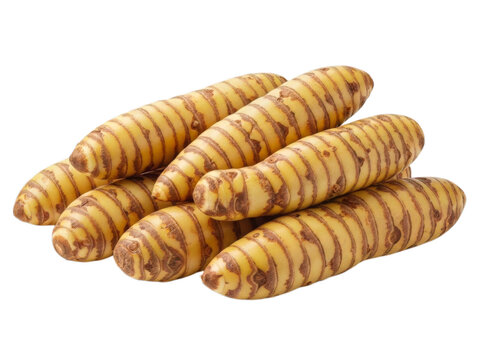 Pile of mashua root tubers with yellow skin and brown striping on white background.
