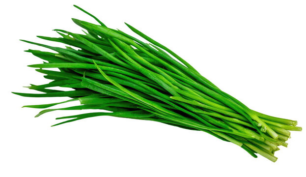 Fresh, vibrant green chives isolated against a stark, black background. Food and herb focus