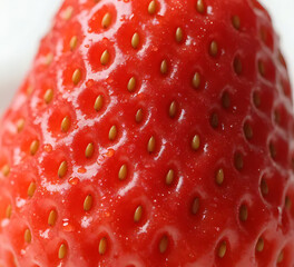 Ultra close-up of strawberry skin texture with seeds and fresh moisture