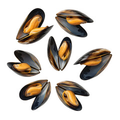 Freshly opened mussels arranged in a circle isolated on transparent background