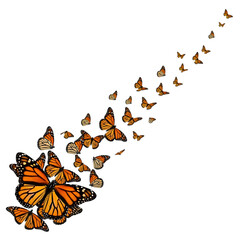 Monarch butterflies flying away in a group isolated on transparent background