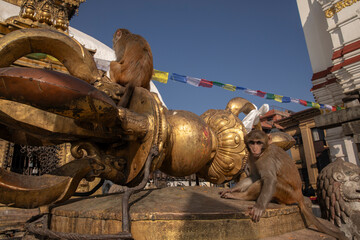 Swayambhunath Stupa in Kathmandu, Nepal