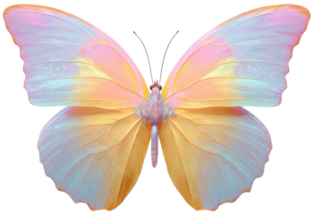 Symmetrical, pastel-colored butterfly with translucent wings and delicate body details, isolated