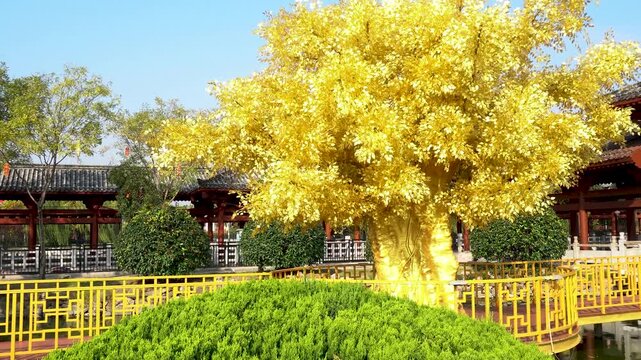 Huo Shen Tai in Shangqiu City, Henan Province, China, is also known as QueBo Tai. Money Tree in the HuoShen Tai scenic area. 