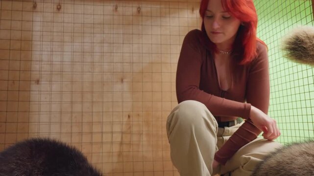 redhead caucasian woman petting cats, kneeling in wooden shelter with green mesh backdrop, reaching across furry tails, lively interaction with multiple felines, casual outfit, warm natural light,