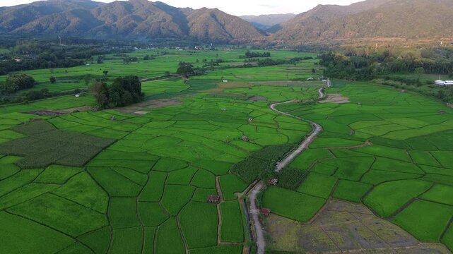 Aerial landscape rice paddy field, mountain valley road overlooking green farmland patchwork, winding dirt track and irrigation canal, rural agriculture at sunrise, evening and dusk serenity