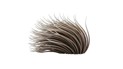 Close-up of a bunch of fine, brown, textured strands